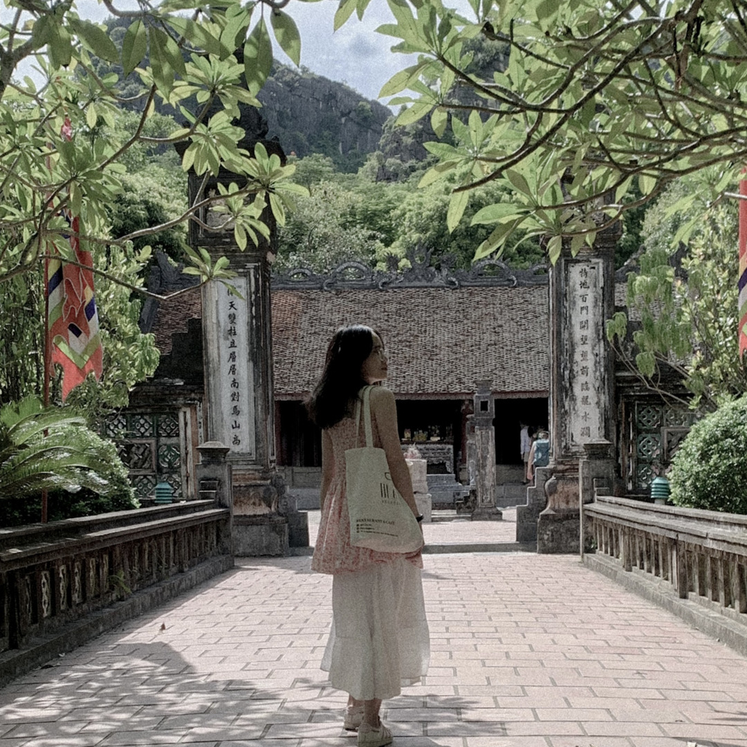Stream hoa nở không màu by hnuhyv.log | Listen online for free on ...