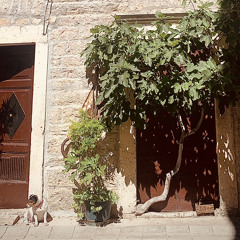 Drôme and bass