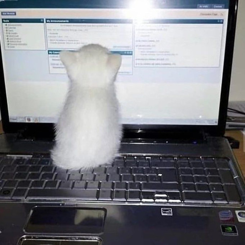 Toxic - Britney Spears (sped up)