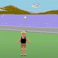 Revenge of the 8-Bit Seagull (SID) (Original)