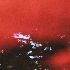 noods residency : the otherness