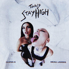 Tove Lo - Stay High (CHRIS A & Beau James Edit)