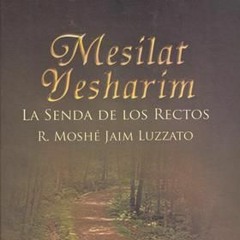 Mesilat Yesharim CLASE 2. La Importancia De Reflexionar Para Qué Vinimos Al Mundo