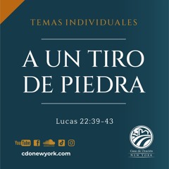 Tema | A Un Tiro De Piedra