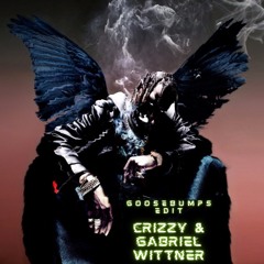 Goosebumps - Crizzy & Gabriel Wittner Edit (Preview)