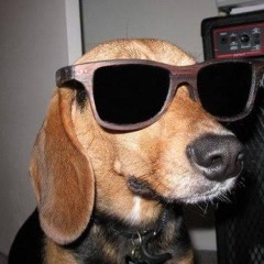 “On & On” - @ItsXshotz #ptr #jersey