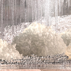 Salt X Sound 2025,  sound intervention 1, Karine Blanche