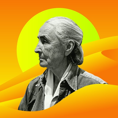 The Grandeur You Never Knew Was Living in Plain Sight