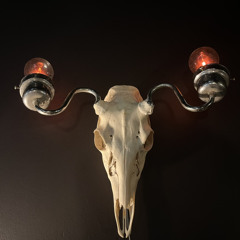 MF SIG.CARLITO NITECORE