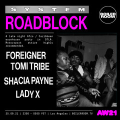 Lady X | SYSTEM: ROADBLOCK