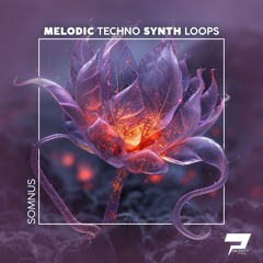 Somnus [Melodic Techno Synth Loops]