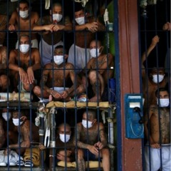 Still Yg - Lil Grinder