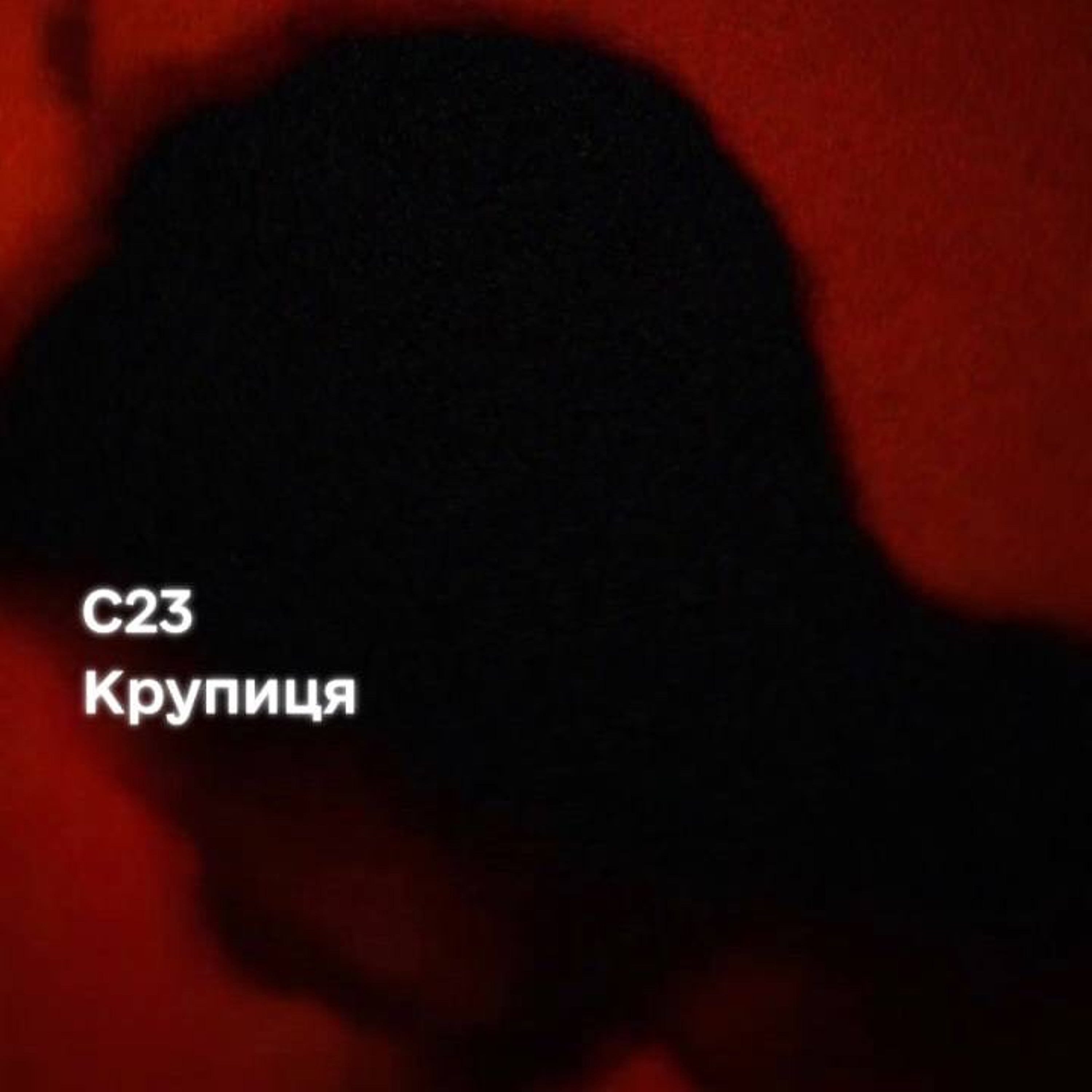 C23