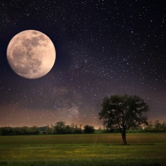 Under The Light Of The Full Moon