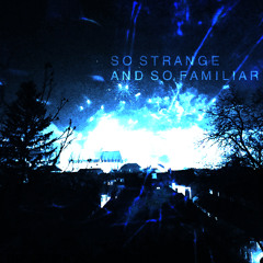 MS Visage