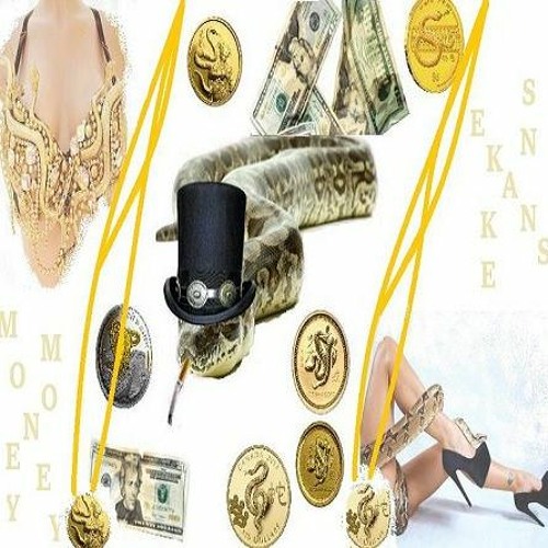 Money Snake (Acoustic Session)