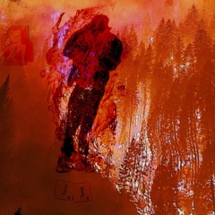 Who Permission?   -   JJ Bing