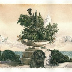 Rive (BeatBattle LeProcess)