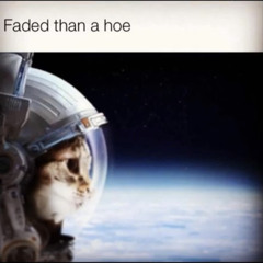 send a cat to outer space (cyberia & yk)