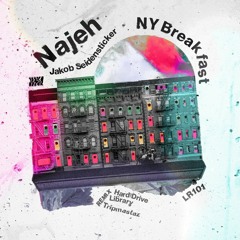Premiere : Najeh - Traum (LR101)