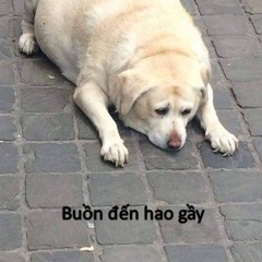 Tra Lai Cho Em Thanh Xuan - Thai Minh Remix