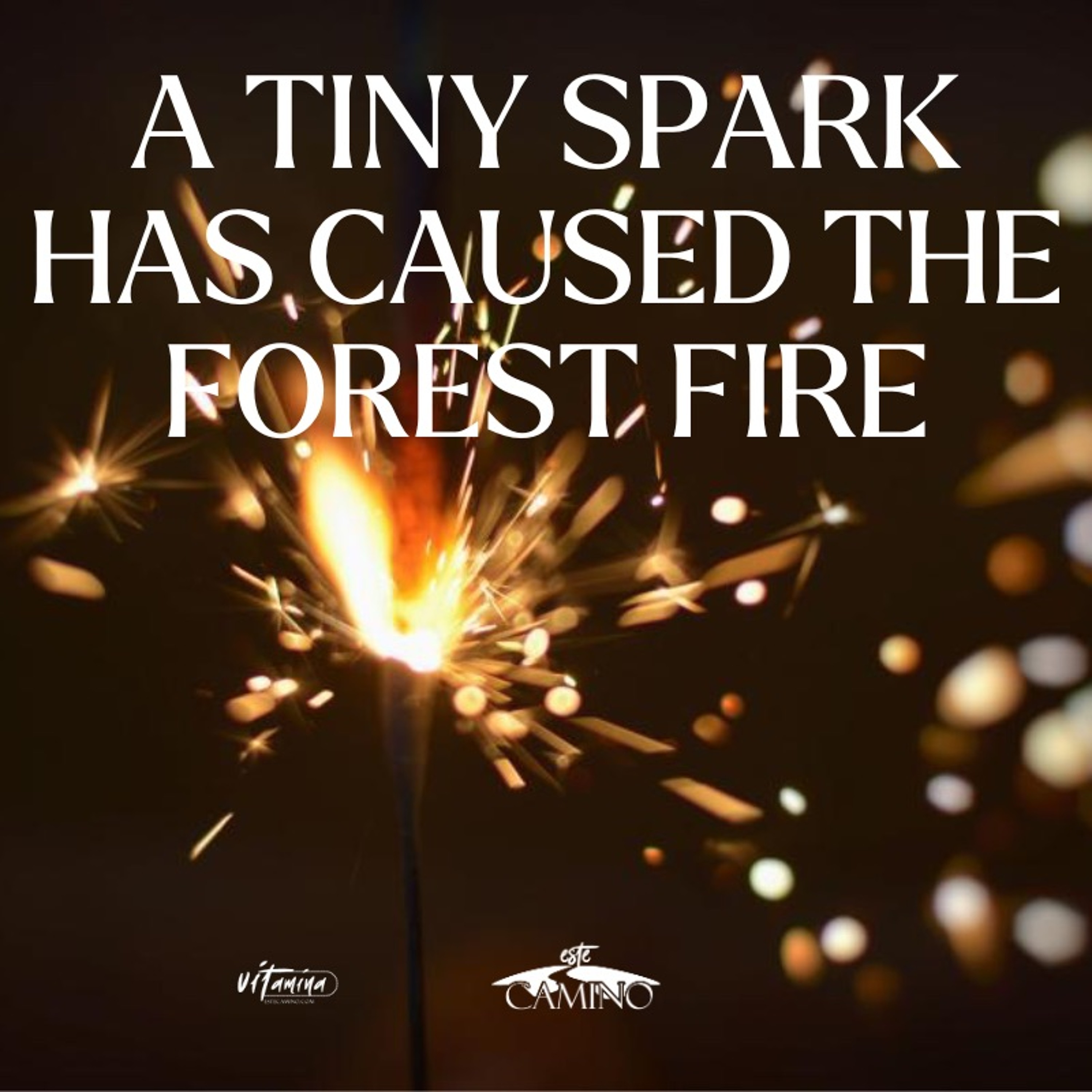 A TINY SPARK HAS CAUSED THE FOREST FIRE, Pilar Ramirez episode artwork