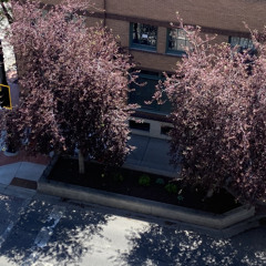 like summrss ! (prod glumboy)