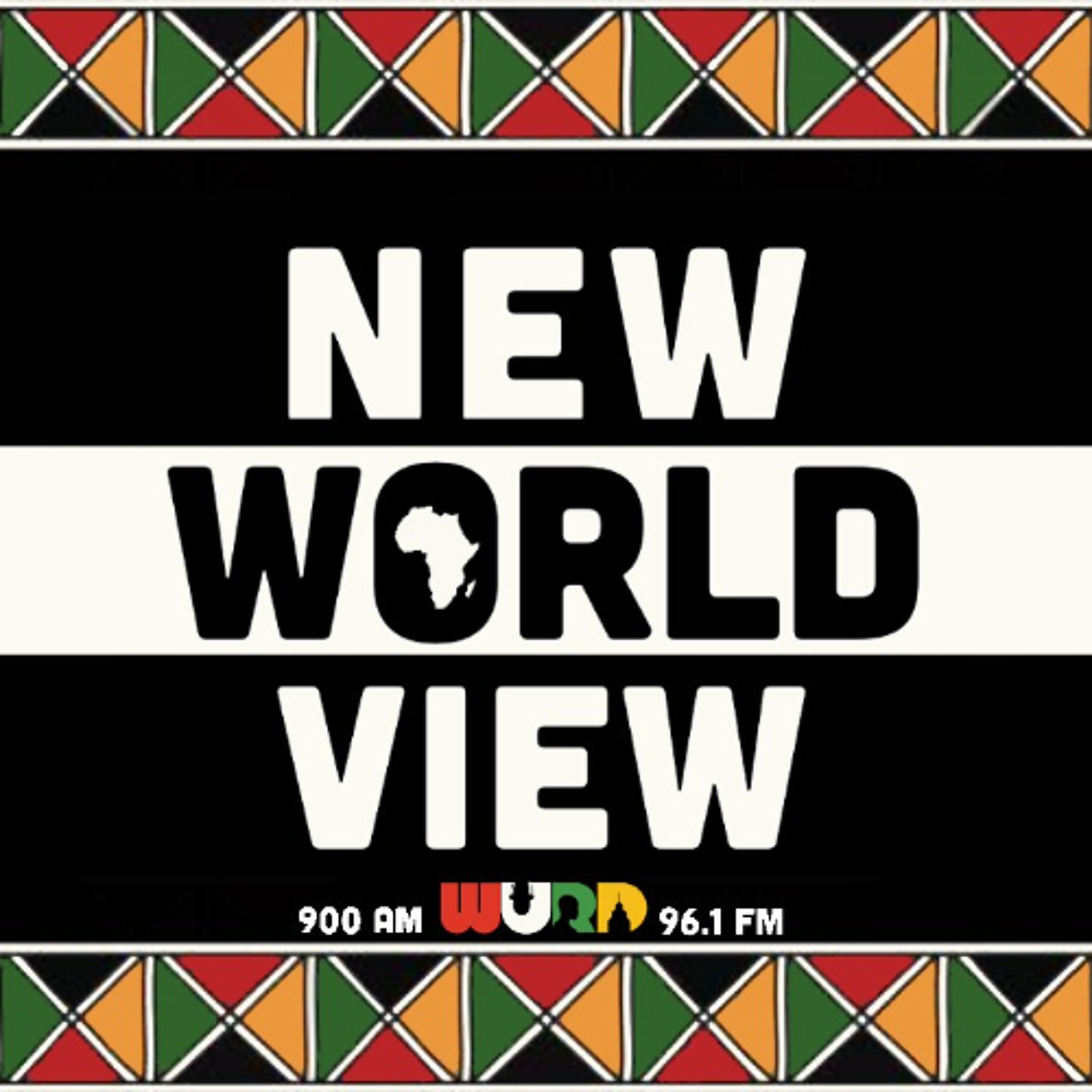 Fireside Panel | New World View - 2.8.26 episode artwork