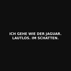 The Way of The Jaguar