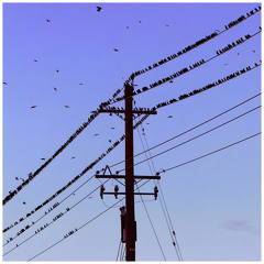 Headlock (Ashton Maxwell Remix)