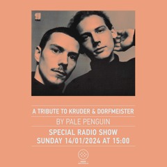 A Tribute To Kruder And Dorfmeister By Pale Penguin