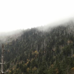 Tennessee Whiskey (cover)