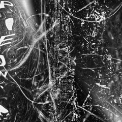 자본(ZAVON)– piedwave