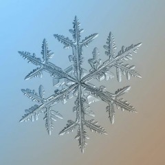 Старый Год прощай!