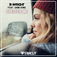 B-Wright - Shelter Me (feat. Dani King)(Instrumental Mix)