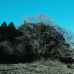 Log_20250118（demo）