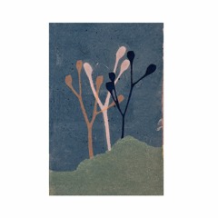 SAMPLERS