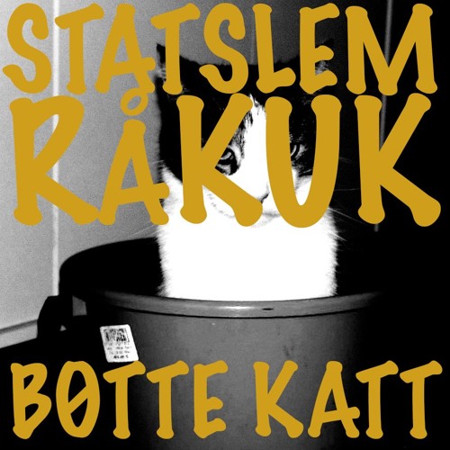 BØTTE KATT