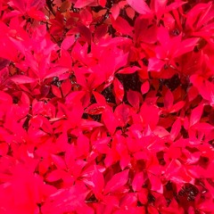 🫧♨️地極楽♨️🫧