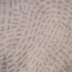 lets pretend we don’t care 2