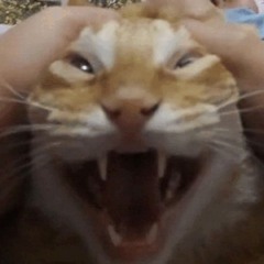 CATAWAKE - BULLET TIME [VIP MIX] [APRIL FOOLS]