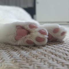 END OF THE YEAR 2025