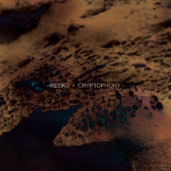 Reeko - Secuencia Criptofonica II [SMDELP17]
