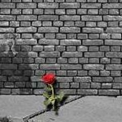 Can I Live (Ft. Jay-Z)