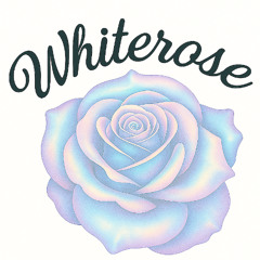 Homeparty (Techno Promotion by Whiterose)