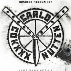 [FREE] Finster - BUSHIDO x BABA SAAD x FLER x BASS SULTAN HENGZT Type Beat (prod. by Vesco)