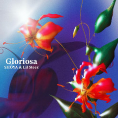 Gloriosa - SHOYA & Lil Steez