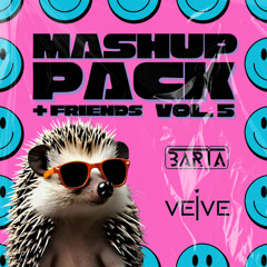 BARTA, VEIVE & Friends Mashup Pack Vol.5 [+BONUS TRACKS]