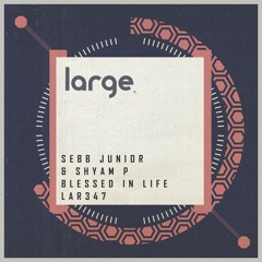 Sebb Junior & Shyam P | Blessed In Life