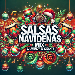 SALSAS NAVIDENAS MIX - DJ ANEUDY - 2024